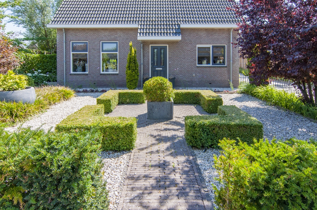 Achtertuin met vijver